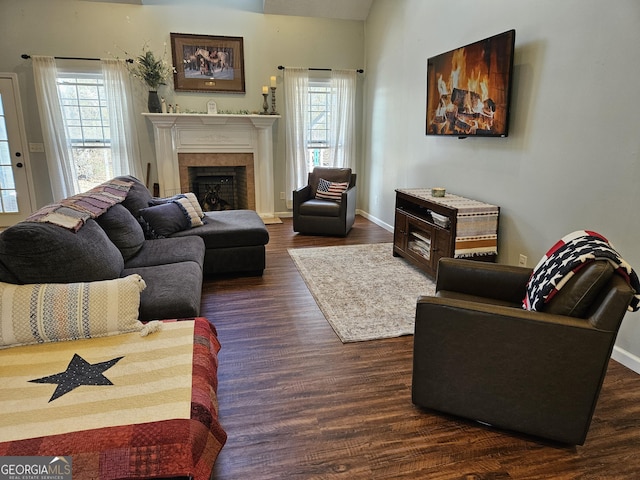 living room featuring a healthy amount of sunlight and dark hardwood / wood-style floors