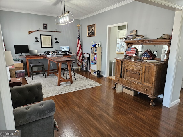 office space featuring crown molding and dark hardwood / wood-style floors