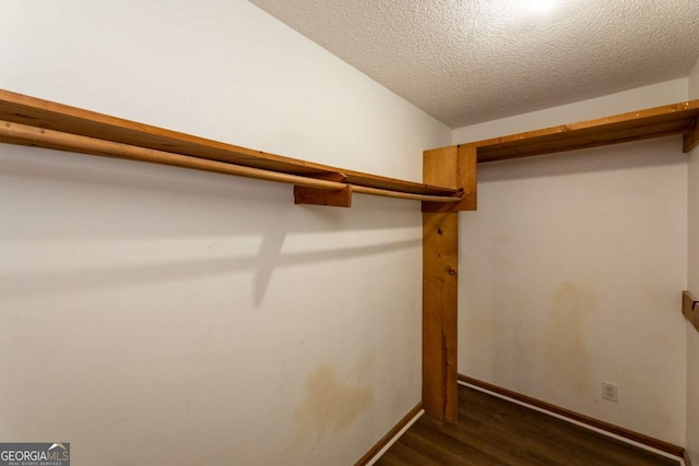 walk in closet featuring dark hardwood / wood-style floors