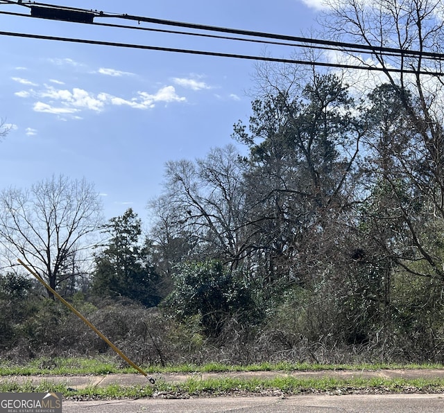 000 Broad St, Richland GA, 31825 land for sale