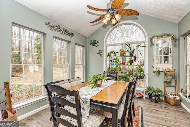 sunroom / solarium with ceiling fan and lofted ceiling