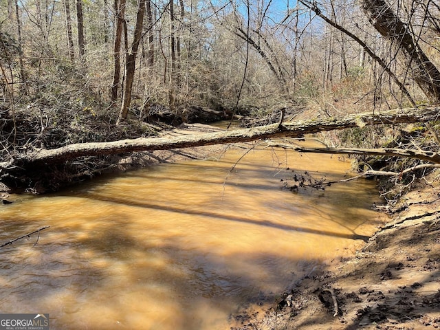 view of local wilderness