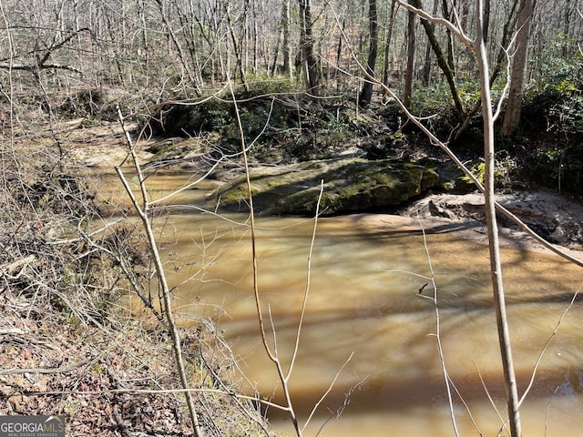 view of local wilderness with a water view