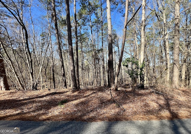 0 Flamingo Dr Lot 129, Monticello GA, 31064 land for sale