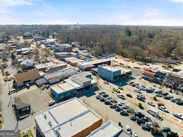 bird's eye view