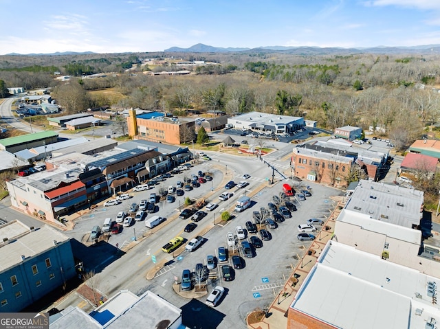 bird's eye view featuring a mountain view