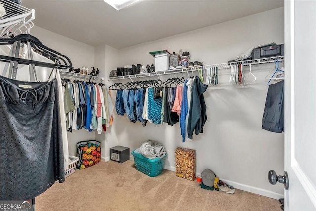 3890 Pleasant Woods Dr, Cumming, GA 30028 - spacious closet with carpet flooring