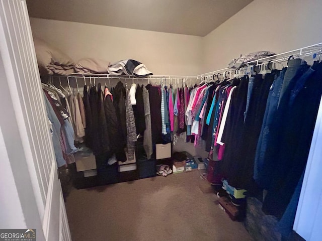 walk in closet with carpet flooring