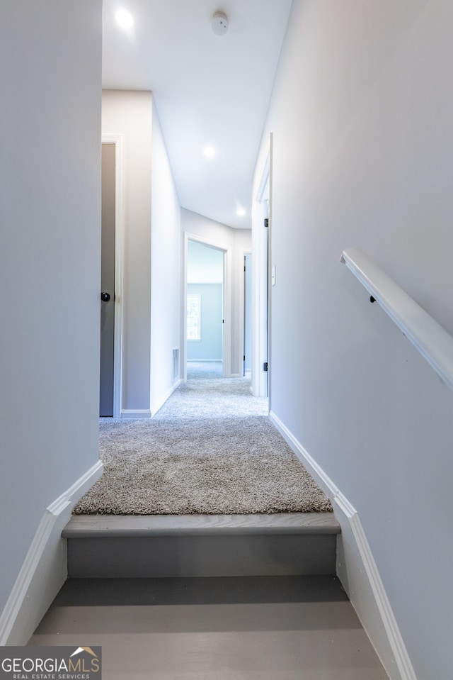 staircase featuring carpet flooring