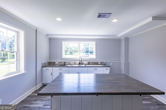 kitchen with white cabinetry, a healthy amount of sunlight, butcher block counters, and sink