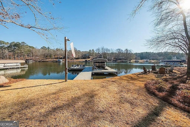 dock area with a water view