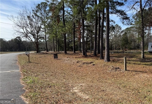 305 Woodside Way, Ellabell GA, 31308 land for sale