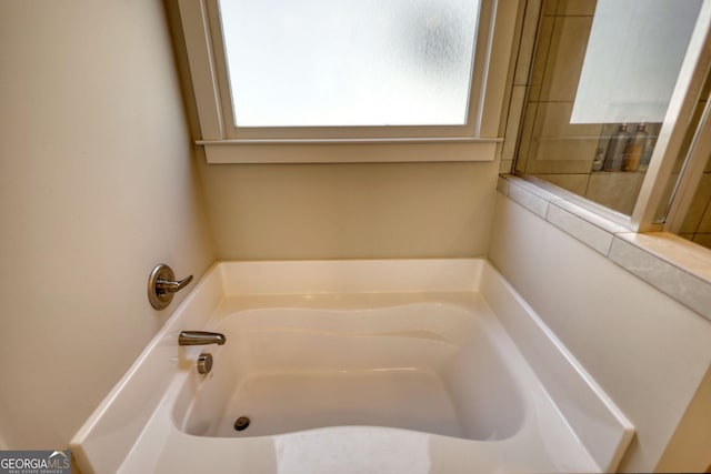 bathroom featuring a washtub