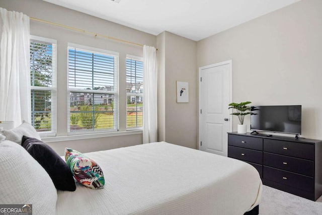 bedroom with multiple windows