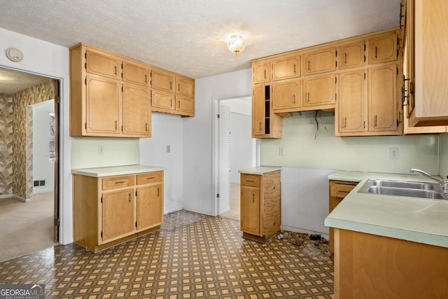 kitchen with sink and a textured ceiling