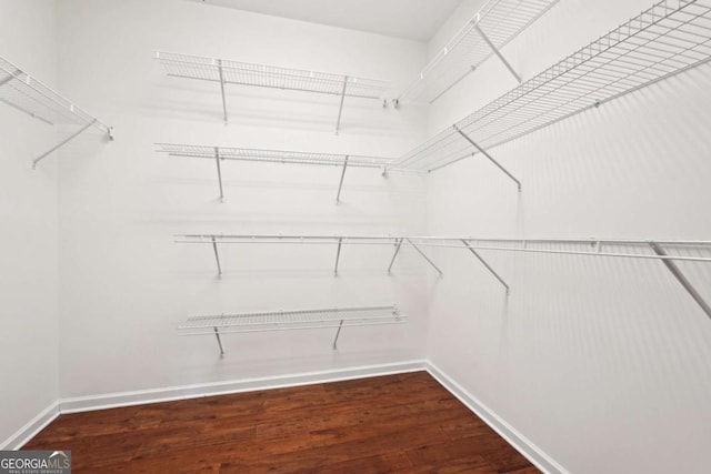 walk in closet with dark hardwood / wood-style floors