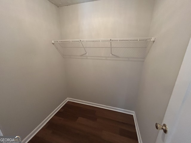 walk in closet featuring dark wood-type flooring