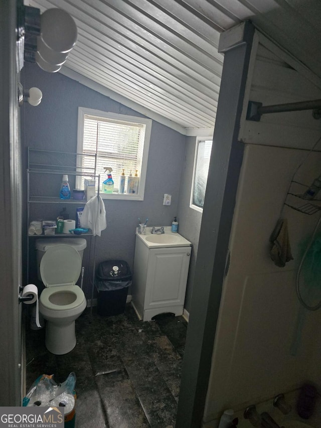 bathroom featuring vanity, toilet, and vaulted ceiling