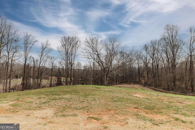 4059 Wildcat Bridge Rd, Royston, GA 30662 - exterior space featuring a wooded view