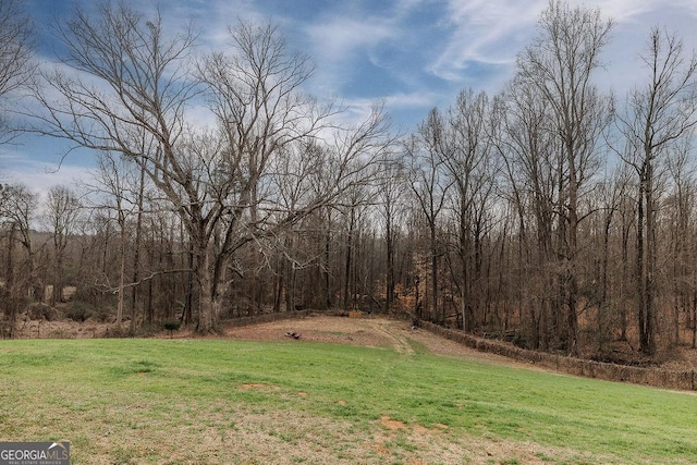 4059 Wildcat Bridge Rd, Royston, GA 30662 - view of yard with a forest view