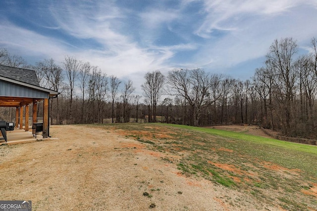 4059 Wildcat Bridge Rd, Royston, GA 30662 - view of yard with a patio