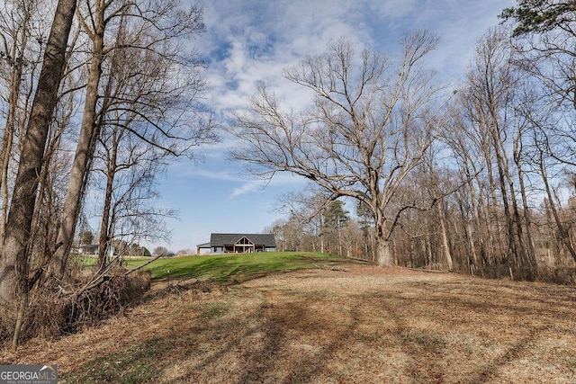 4059 Wildcat Bridge Rd, Royston, GA 30662 - view of yard