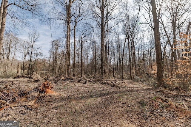 4059 Wildcat Bridge Rd, Royston, GA 30662 - view of local wilderness