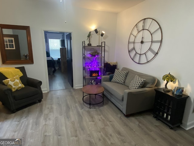 living room featuring wood-type flooring