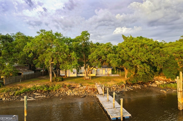 dock area with a water view