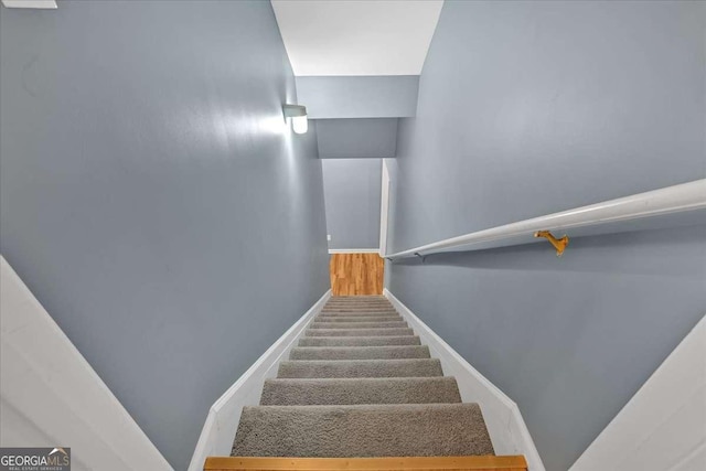 staircase featuring carpet