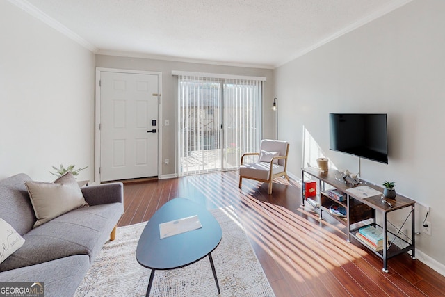 living room with hardwood / wood-style floors, crown molding, and a textured ceiling