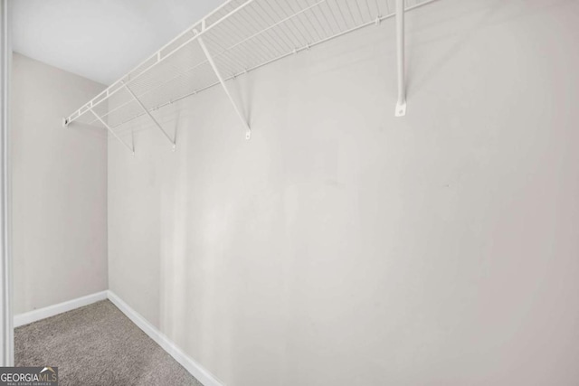 spacious closet with carpet flooring