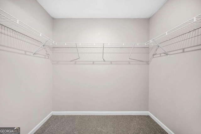 walk in closet with carpet flooring