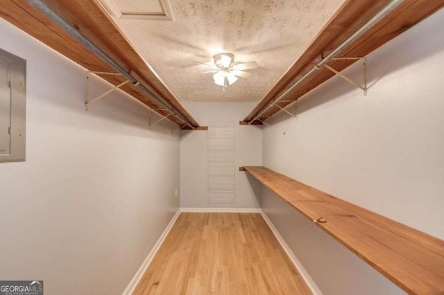 walk in closet with light wood-style floors