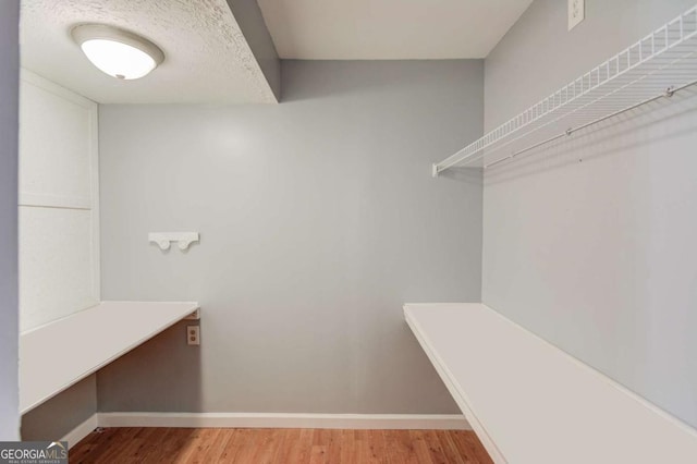 spacious closet featuring light wood finished floors