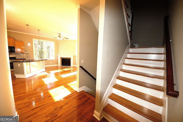 stairs featuring sink, wood-type flooring, and ceiling fan