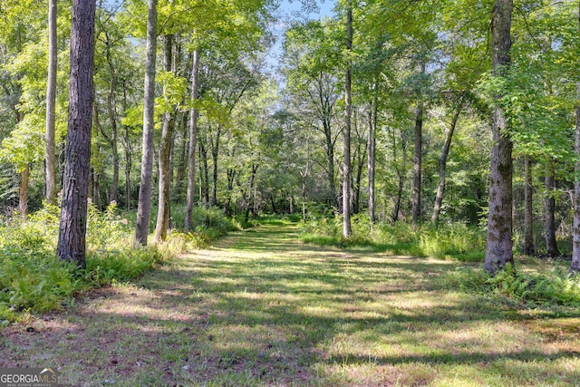 view of local wilderness