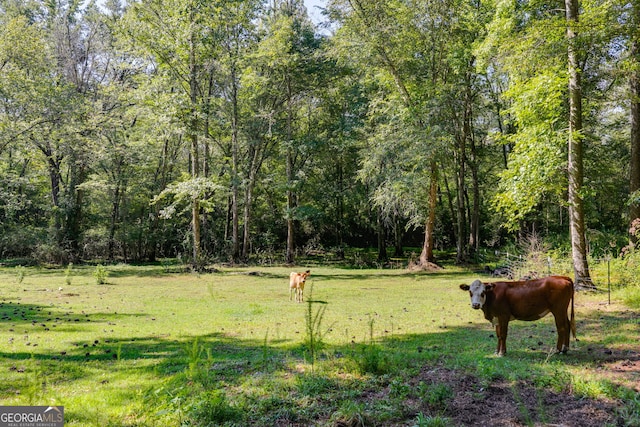 view of yard with a rural view