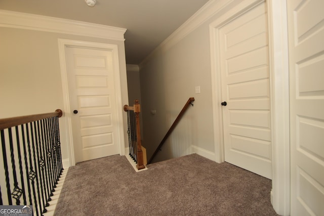 stairs featuring crown molding and carpet flooring