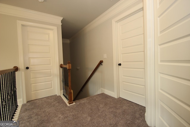 staircase with ornamental molding and carpet flooring