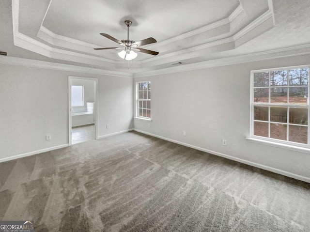 carpeted spare room featuring crown molding, a raised ceiling, and ceiling fan