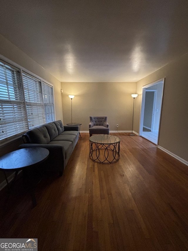 living room featuring wood-type flooring