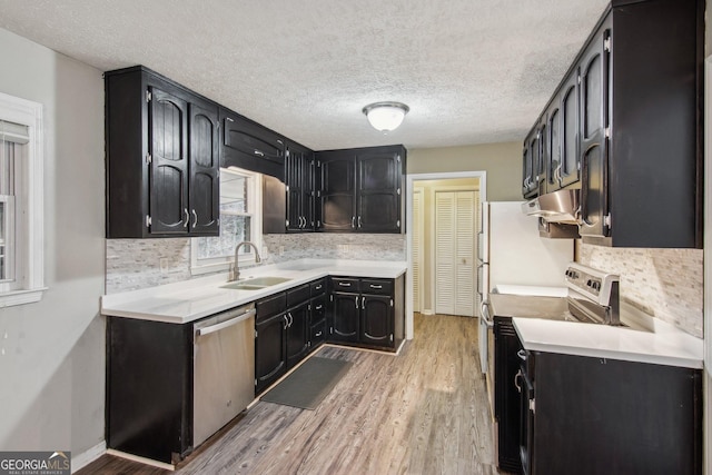 kitchen with appliances with stainless steel finishes, light wood-type flooring, a sink, and dark cabinets