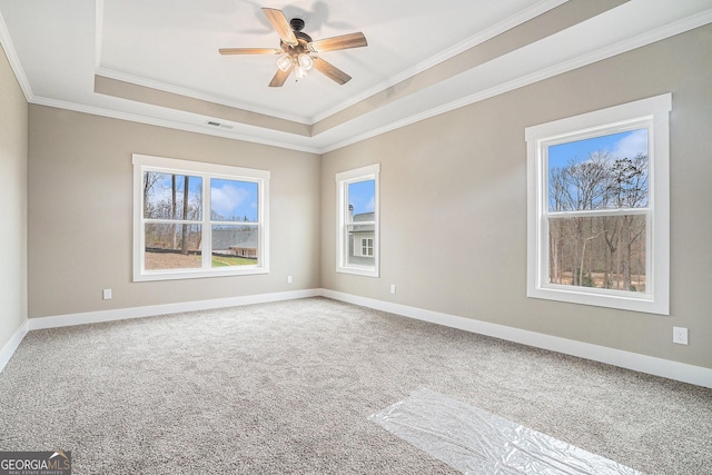 unfurnished room featuring ceiling fan, ornamental molding, carpet flooring, and a raised ceiling