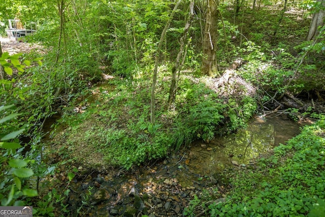 view of local wilderness featuring a water view