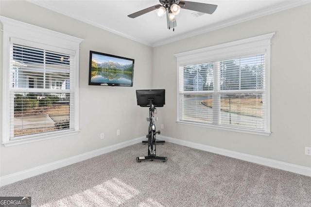 exercise room featuring crown molding, ceiling fan, and carpet flooring