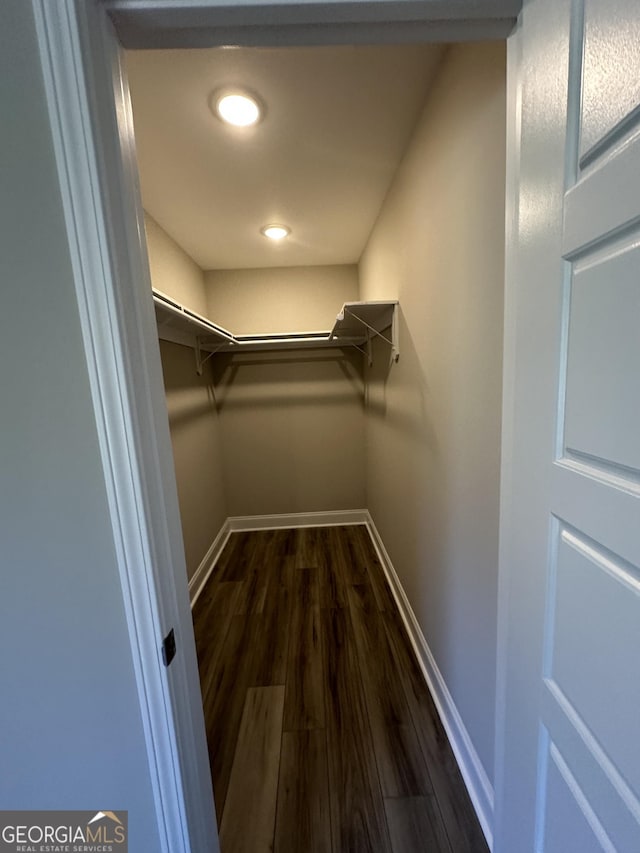 walk in closet with dark wood-style flooring