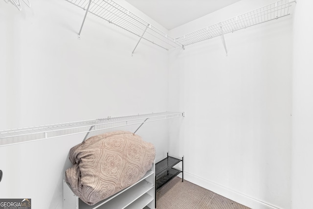 spacious closet featuring light carpet