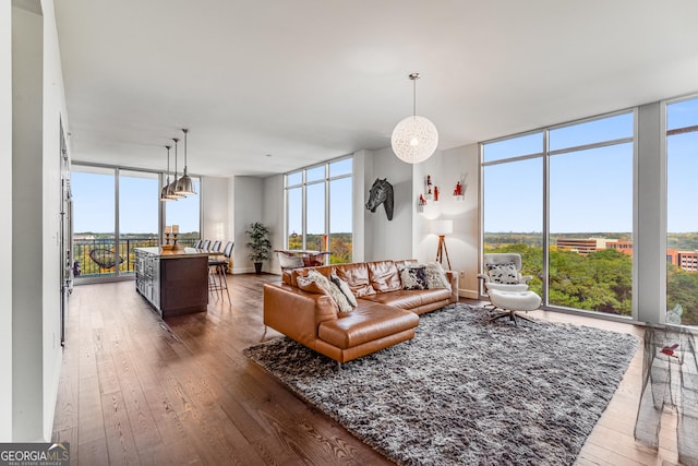 living room featuring dark wood-type flooring and a wall of windows