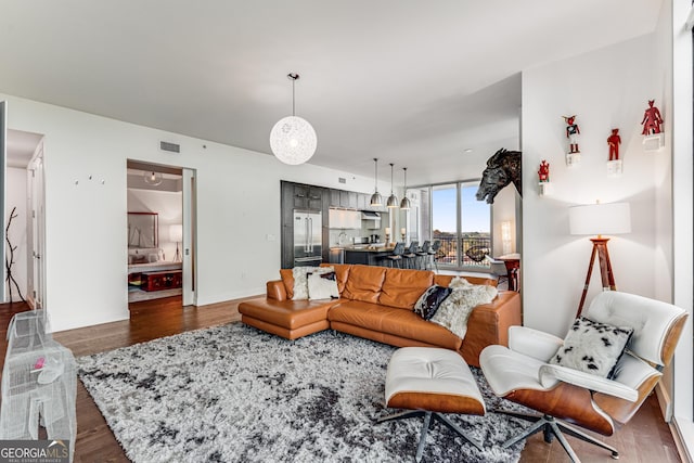 living room featuring dark hardwood / wood-style flooring and sink